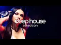 Shakedown - At Night (Purple Disco Machine Remix)