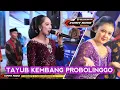 Download Lagu TAYUB KEMBANG PROBOLINGGO CS PERMATA THEBEST AUDIO