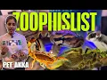 Download Lagu 💥 Chennai Exotic Pets Full Tour | Zoophilist Pets | Iguanas, Snakes, Sugar Gliders, \u0026 Monster Fish 