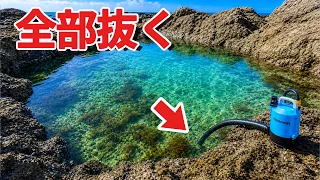磯の水を抜くと化け物出てきた