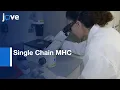 Download Lagu Single Chain MHC to Investigate Co-agonism in CD8+ T Cell Activation | Protocol Preview