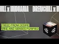 Drenchill - Freed from Desire (Official Lyric Video) ft. Indiiana