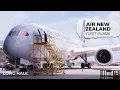 Download Lagu 115 Aircraft: The State Of Air New Zealand In 2025