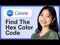 Learn How To Find The Hex Color Code Of An Image Using Canva