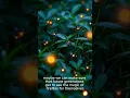 Download Lagu You Might Be the Last Generation to See This Magical Light #shorts #youtubeshorts #naturephotography