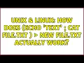 Unix Linux How does echo text cat file txt new file txt actually work 2 Solutions