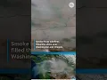 Satellite shows timelapse of wildfire smoke over Pacific Northwest