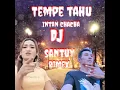 INTAN CHACHA - Tempe Tahu ( DJ Santuy Rimex )