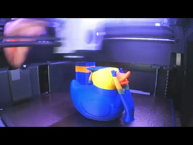 Police Ducks video thumbnail