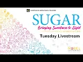 Download Lagu Nobel Conference 2025 - Tuesday Livestream