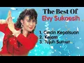 Download Lagu Elvy Sukaesih - Cincin Kepalsuan - Kejam - Tujuh Sumur