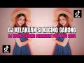 Download Lagu DJ KELAKUAN SI KUCING GARONG BREAKBEAT MIXTAPE DJ KUCING GARONG VIRAL TIKTOK 2024 FULL BASS