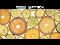 Slice Assignment in Python
