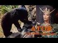 BEAR CUB VS LAURA GEMSER