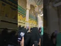 Download Lagu 🕌Assalamu Alaikum Ya Rasool Allah #madeena Masjid nabawi
