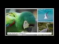 A Conversation with Dr Terry Root Climate Science Wildlife and Hope for the Planet