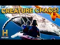 Trapped INSIDE a Whale s Mouth S2 The UnBelievable with Dan Aykroyd History