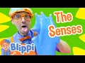 Blippi Learns the 5 Senses Blippi Full Episodes Educational Sensory s