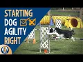 Dog Agility Training 3 Big Mistakes All Dog Owners Should Avoid