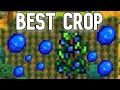 Most PROFITABLE crops per season - Stardew Valley