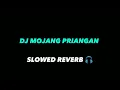 Download Lagu DJ MOJANG PRIANGAN SLOWED REVERB 🎧 DJ VIRAL DI TIK TOK 🔥