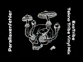 Download Lagu Parallaxenfehler - ExoTribe [Tekno Tribe Vinyl Mix] 2025