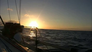 “Alone Together” Audiobook–Chapter 13, “Hallucinations”