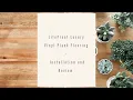 Lifeproof Luxury Vinyl Plank Flooring Installation and Review