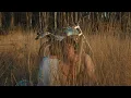 Download Lagu Matt Maltese - Mystery [Official Video]