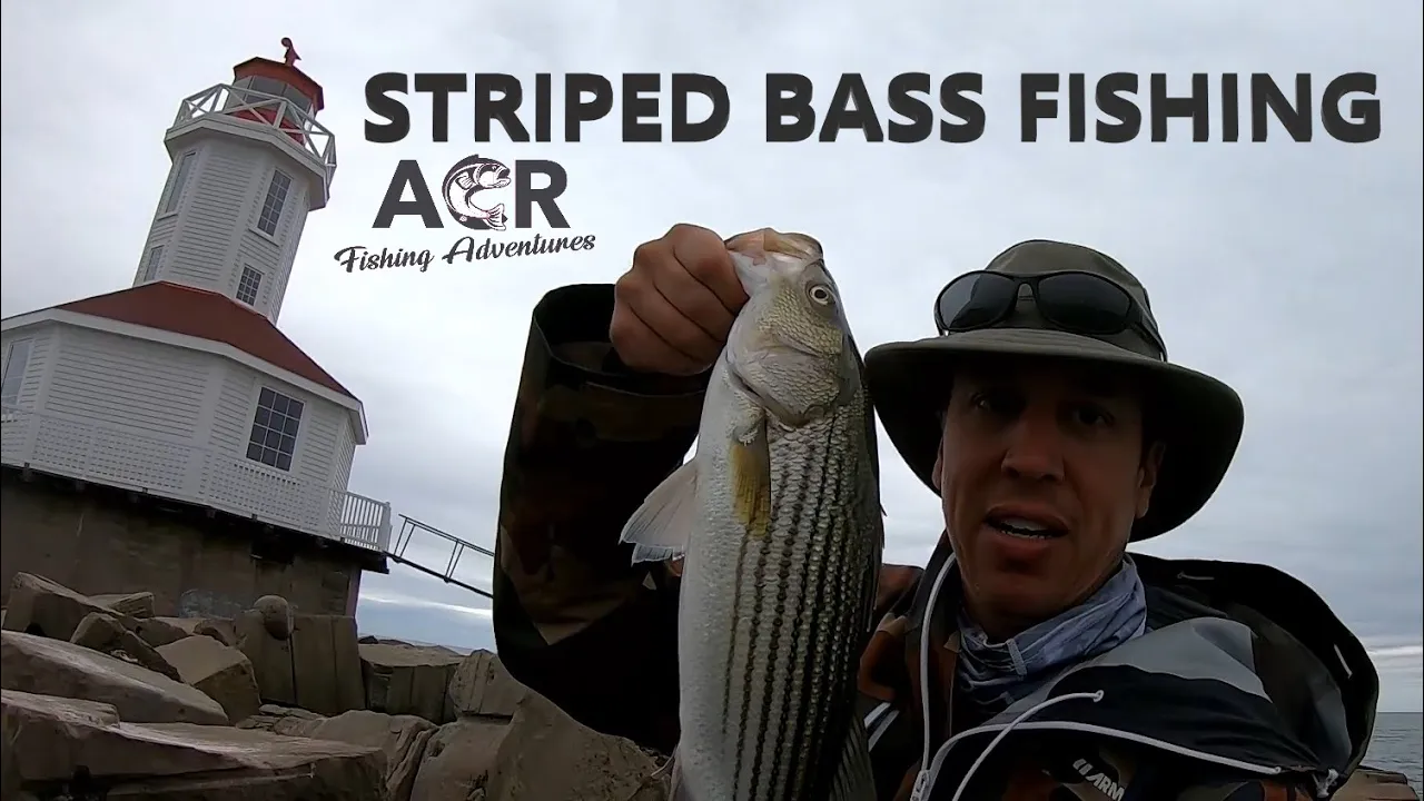 Striped Bass fishing at Cape Tryon and Indian Head Lighthouse PEI 2025 – ACR Fishing Adventures