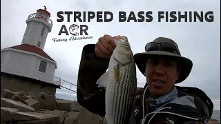 Striped Bass fishing at Cape Tryon and Indian Head Lighthouse PEI 2025 – ACR Fishing Adventures
