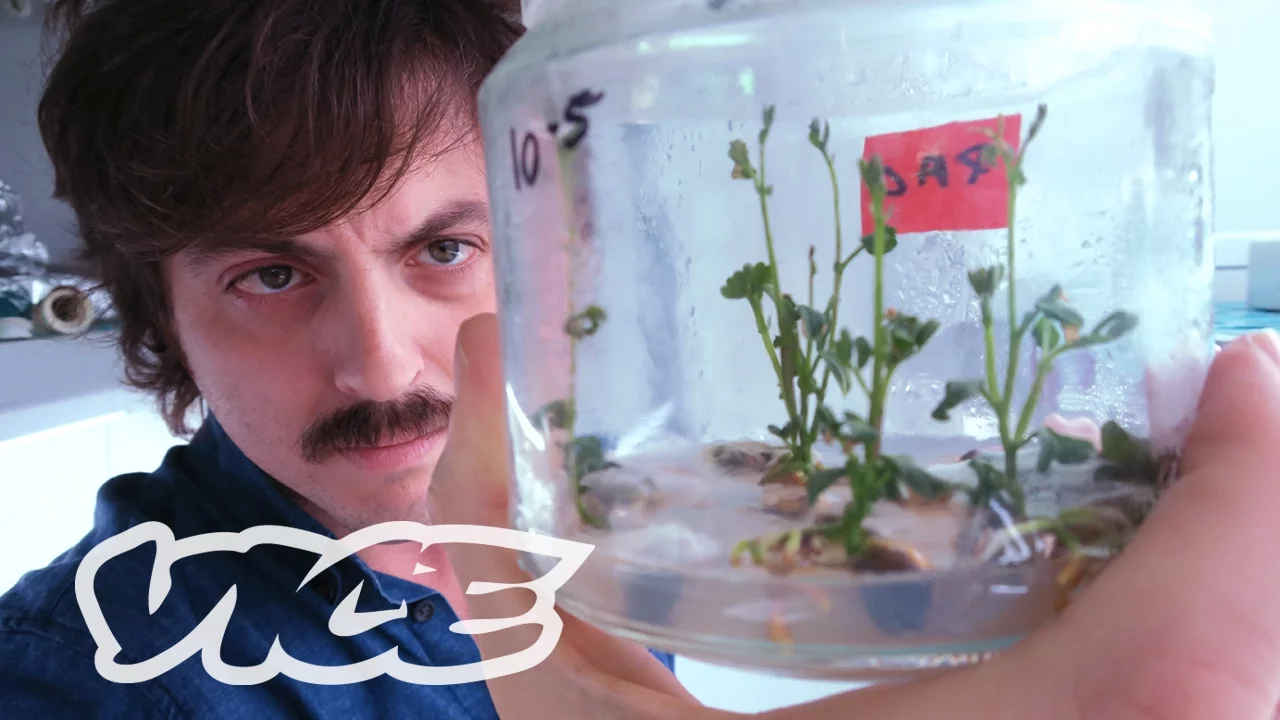 VICE Specials: El mundo de los transgénicos en España