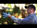 Demand CS Mosquito Training