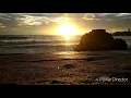Steven & coconut treez - sunset (lirik)