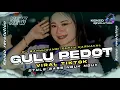 DJ GULU PEDOT • PARTY KARNAVAL • FYP TIKTOK STYLE BASS NGUK