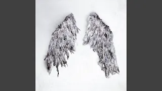 Void