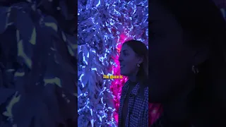 Finding ANOTHER DIMENSION at Meow Wolf Las Vegas