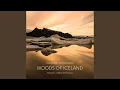 Download Lagu Ísland er land þitt