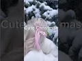 Cute Christmas pfp