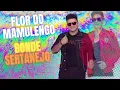 Flor do Mamulengo Bonde Sertanejo Xotão 2025