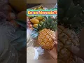 SPANISH WITHOUT A SCRIPT