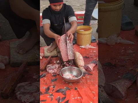 How To Big Fish Cutting Skills