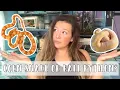 Best Beginner Snake Corn Snakes vs Ball Pythons