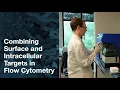 How to Combine Surface Intracellular Targets in Flow Cytometry CST Tech Tips