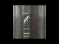 Eera/j1mmy - Not Now #SURFGANG