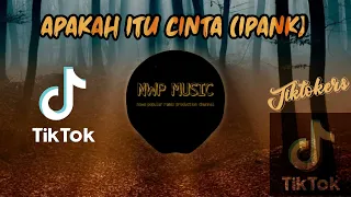viral tik tok dj apakah itu cinta remix ipank 2020