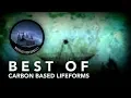 Download Lagu Best of Carbon Based Lifeforms