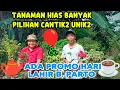 Download Lagu TANAMAN HIAS BANYAK PILIHAN CANTIK2 UNIK2‼️ADA PROMO HARI LAHIR B. PARTO