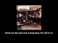 Pantera - Domination (Lyrics)