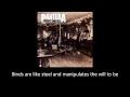 Download Lagu Pantera - Domination (Lyrics)